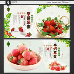 草莓