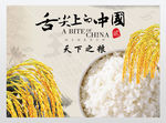 天下之粮粮食展板
