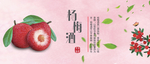 杨梅酒标签
