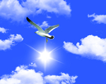 天空