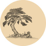 松树 圆形 装饰画 国画