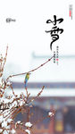 小雪5