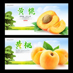 黄桃