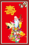 老寿星