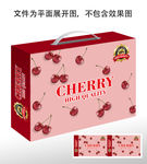 樱桃包装盒