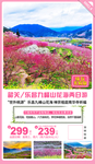 韶关/乐昌九峰山花海旅游海报赏