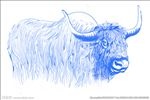 手绘牦牛  高清