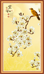 玉兰花