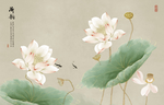 荷花