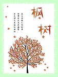 枫树