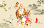 老寿星