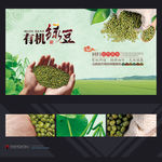 绿豆