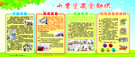 小学生文化