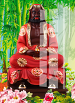 达摩