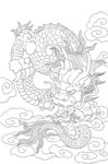 龙