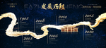 发展历程