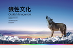 狼性文化