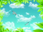 蓝天白云草地