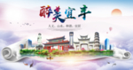 宜丰大醉美文明卫生城市印象海报