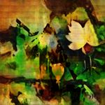装饰画