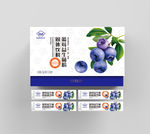 蓝莓益生菌