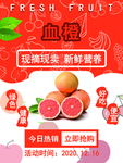 血橙