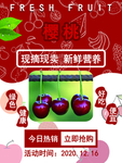 樱桃