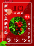 山楂