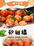 砂糖橘