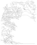 牡丹花