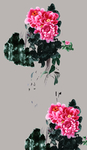定位花