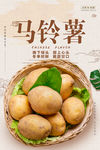 马铃薯海报