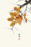 新中式