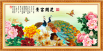 花开富贵 孔雀图