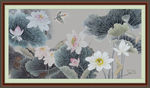 国画荷花