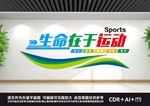 体育文化墙