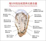 生蚝营养元素