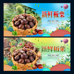 新鲜板栗