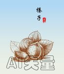 榛子