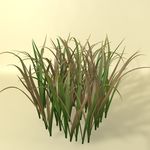 花草模型 植物模型 花卉模型