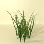 花草模型 植物模型 花卉模型
