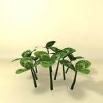 花草模型 植物模型 花卉模型