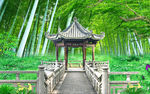 绿色竹林背景墙