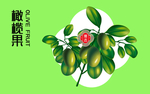 橄榄果