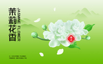 茉莉花
