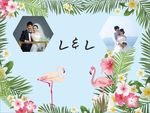 婚庆背景
