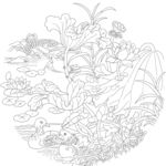 荷花图