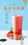 莓莓乳酸菌