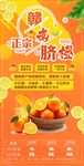 橙子采摘海报