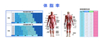 体脂对照表